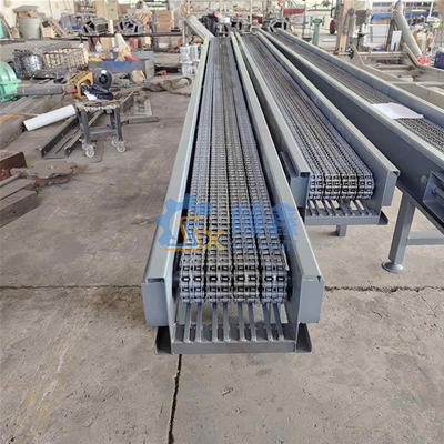 鏈（liàn）條輸（shū）送機